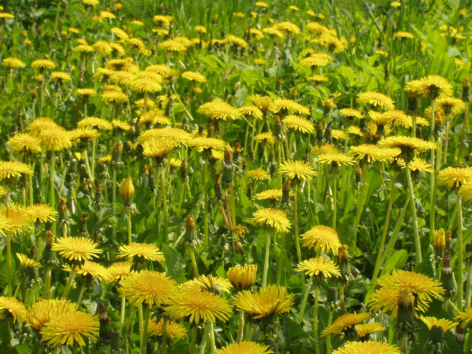 Leistungen